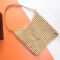 Saint Laurent Oxalis Shoulder Bag In Raffia Beige/Gold